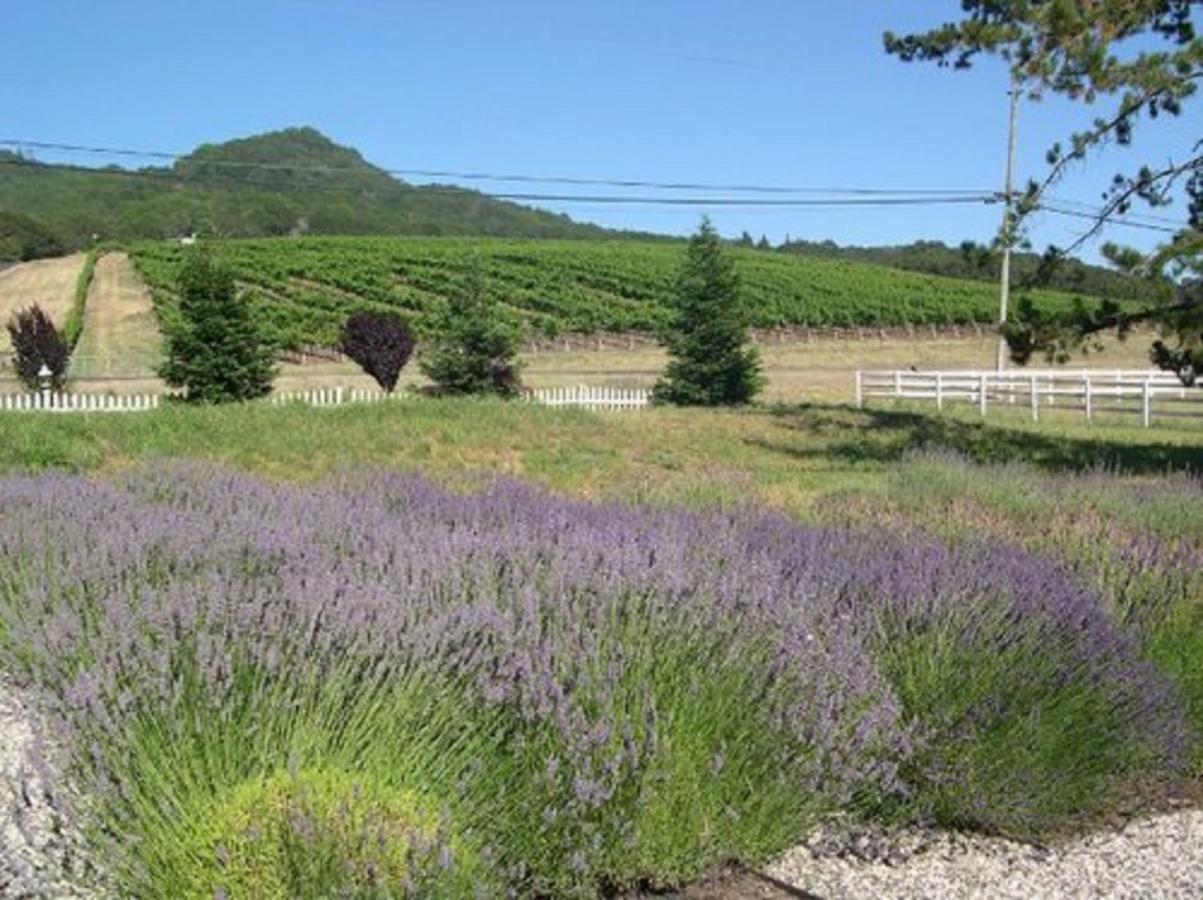 The Gables Wine Country Inn Santa Rosa Ngoại thất bức ảnh